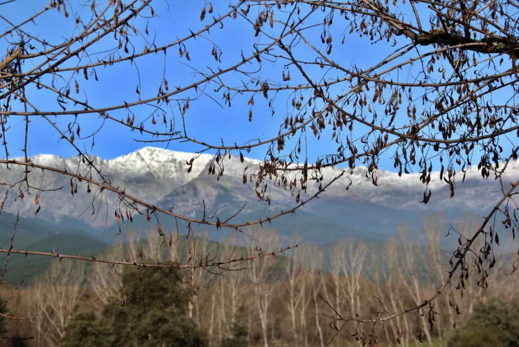 Restaurante ideal para familias y grupos