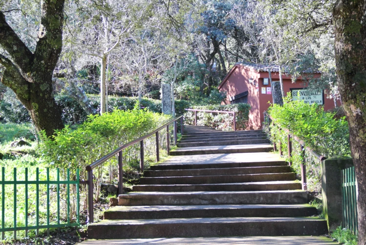 Restaurante ideal para familias y grupos