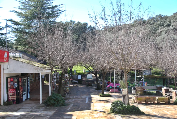 Restaurante ideal para familias y grupos