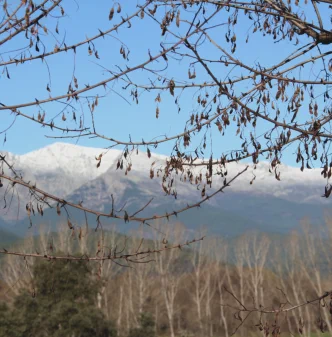 Restaurante Asador Cuevas del Águila Arenas de San Pedro, Ávila